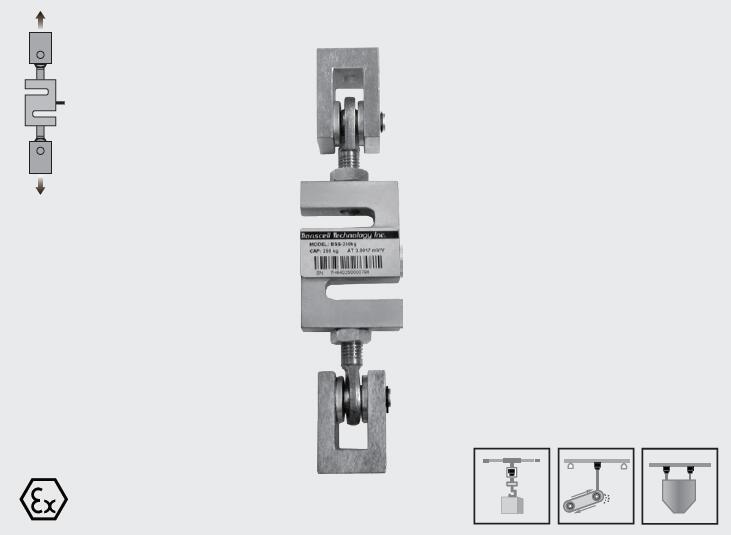 美國 Transcell S-Type 模塊