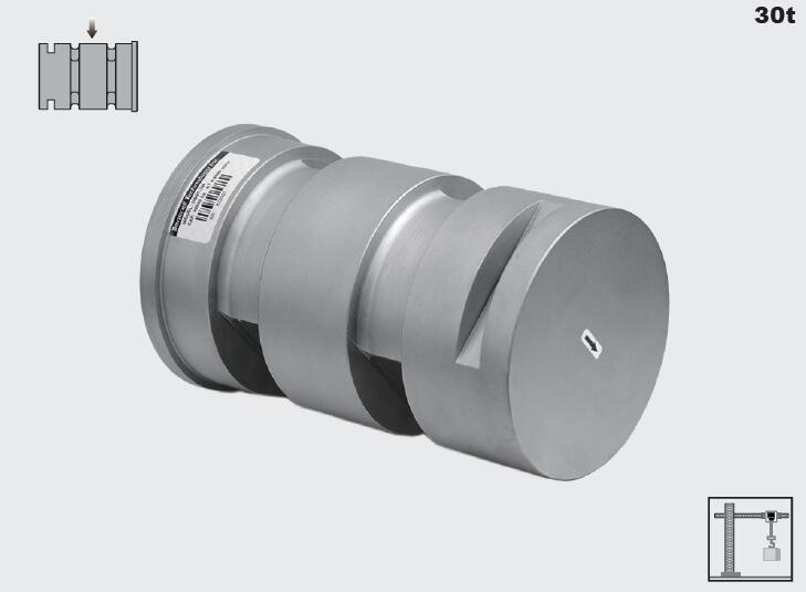 美國 Transcell DBST 30t 傳感器