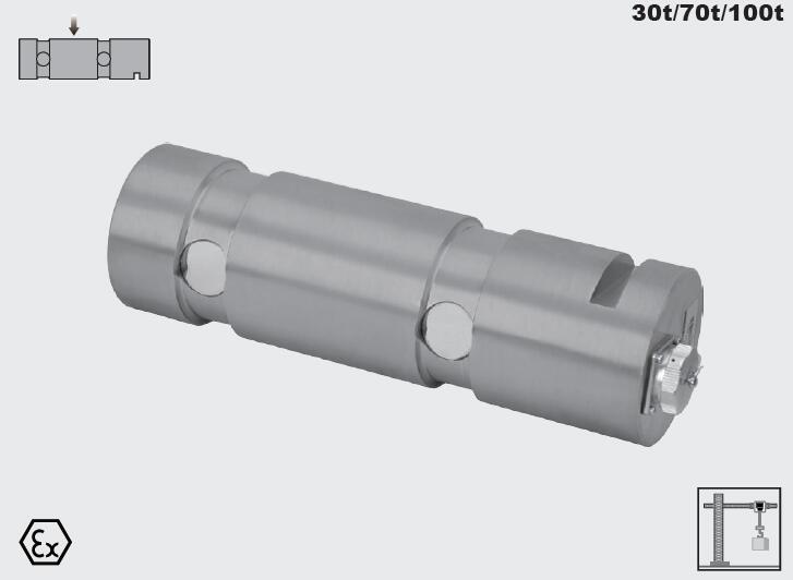 美國(guó) Transcell DBST-HK 傳感器